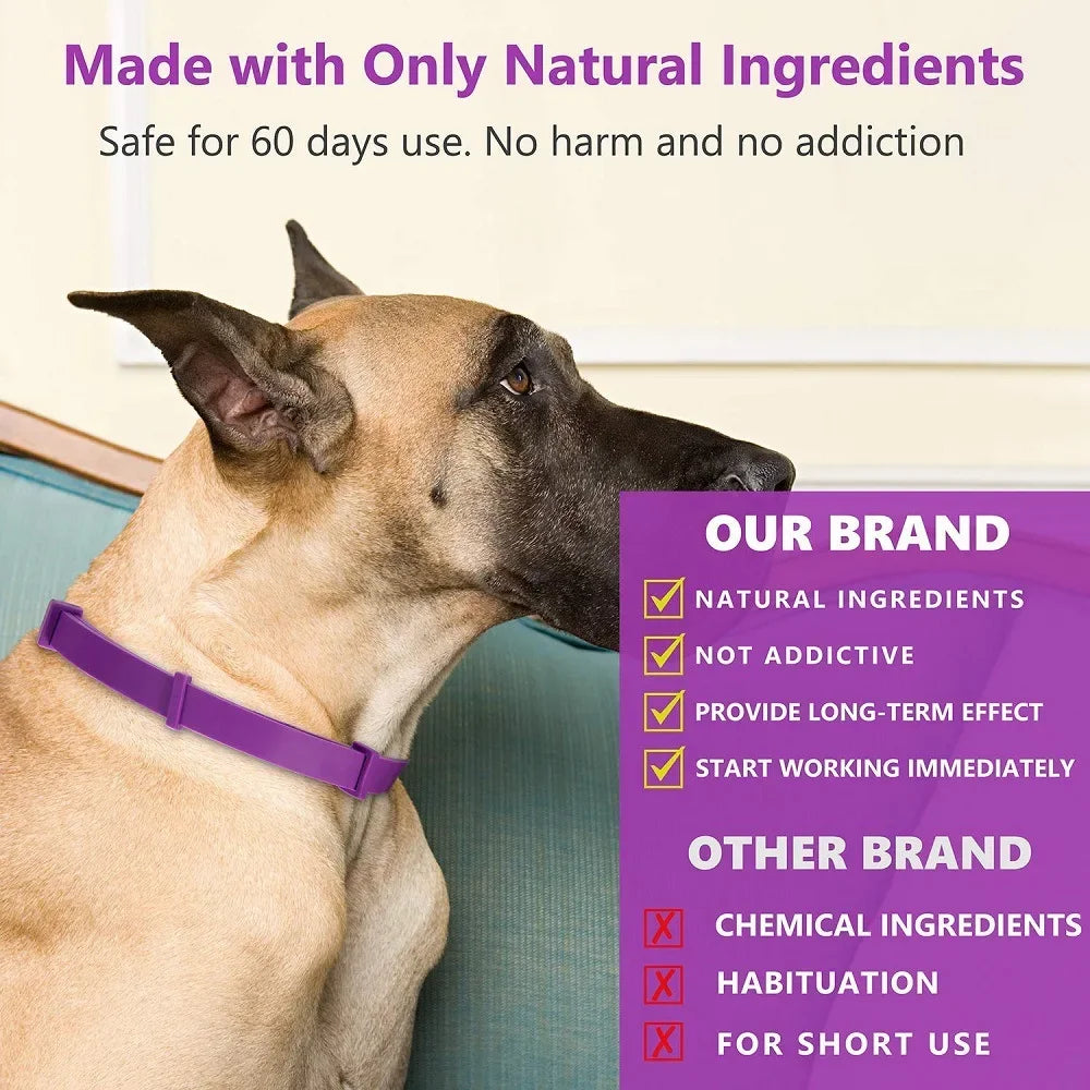 Natural Pet Calming Collar for Cats & Dogs | 60-Day Anxiety Relief
