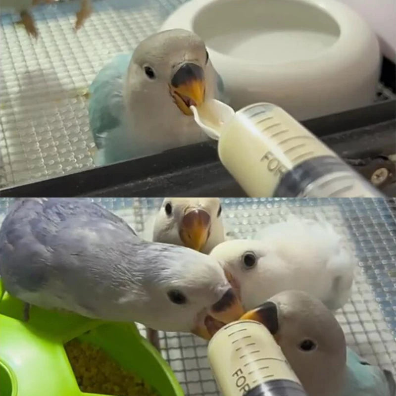 Baby Bird Feeding Kit: Syringe & Spoon for Milk & Medicine
