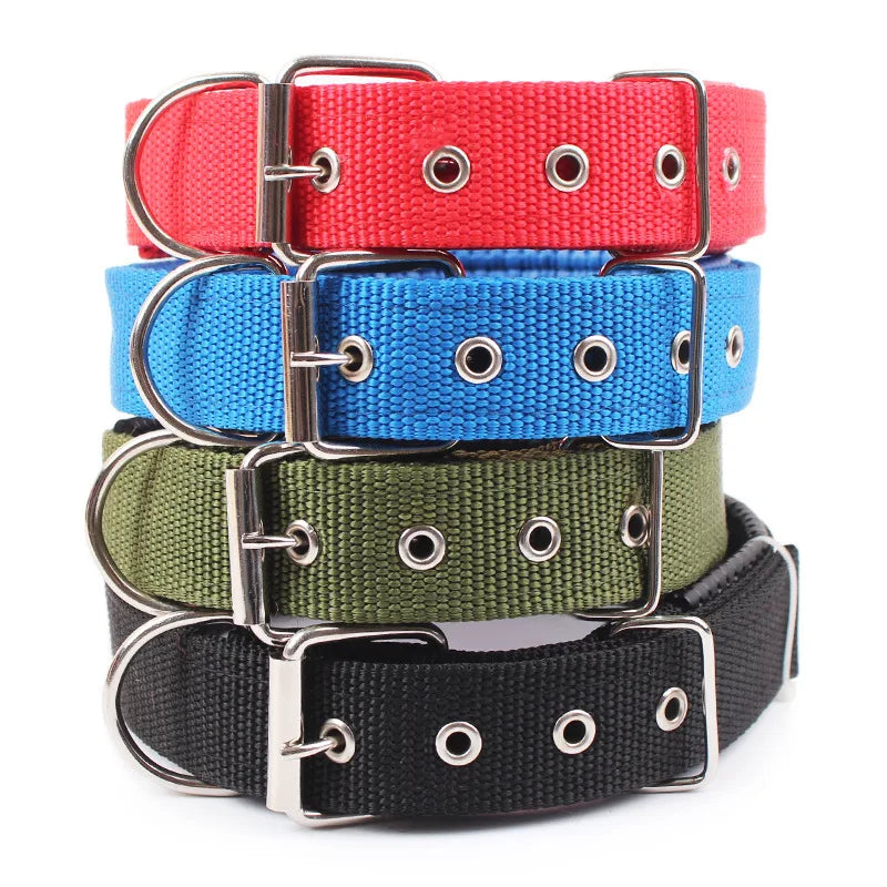 Durable Solid Nylon Dog Collar | Small, Medium, Large Dogs