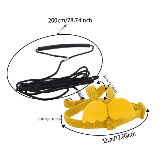 Parrot Flying Harness & Leash for Outdoor Bird Training Canada