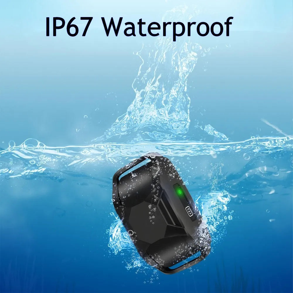 No Shock Dog Training Collar: 3300ft Range, Waterproof E-Collar