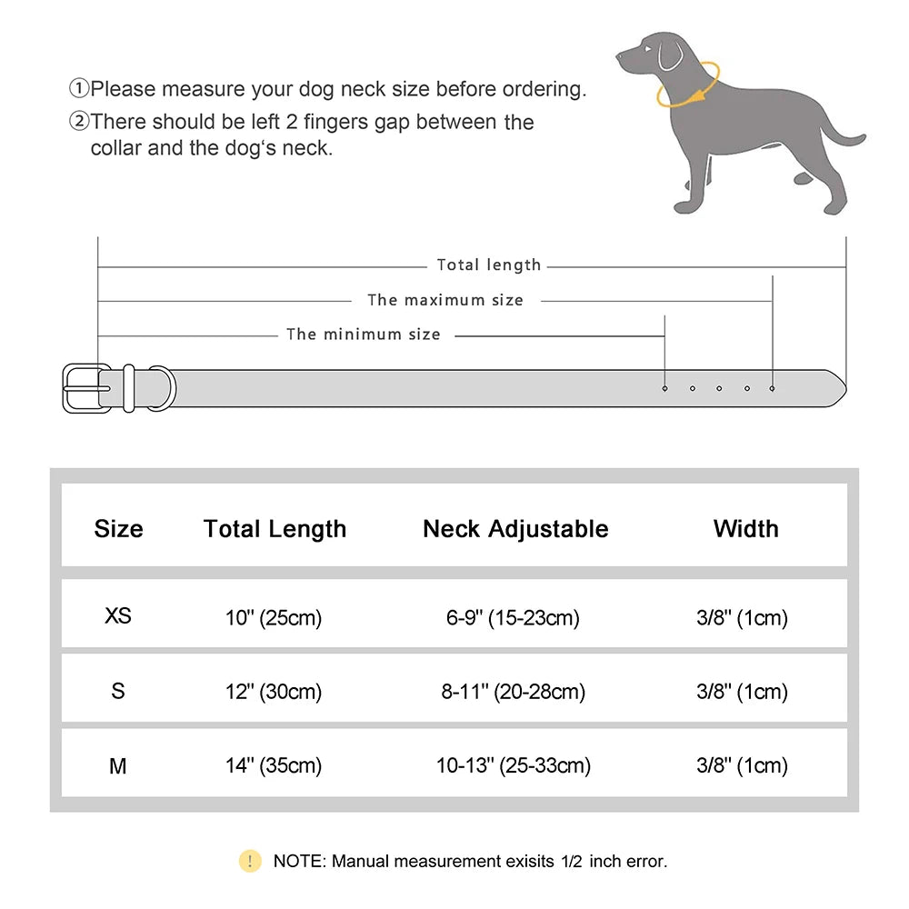 Personalized Bling Leather Cat & Small Dog Collar with Engraved ID