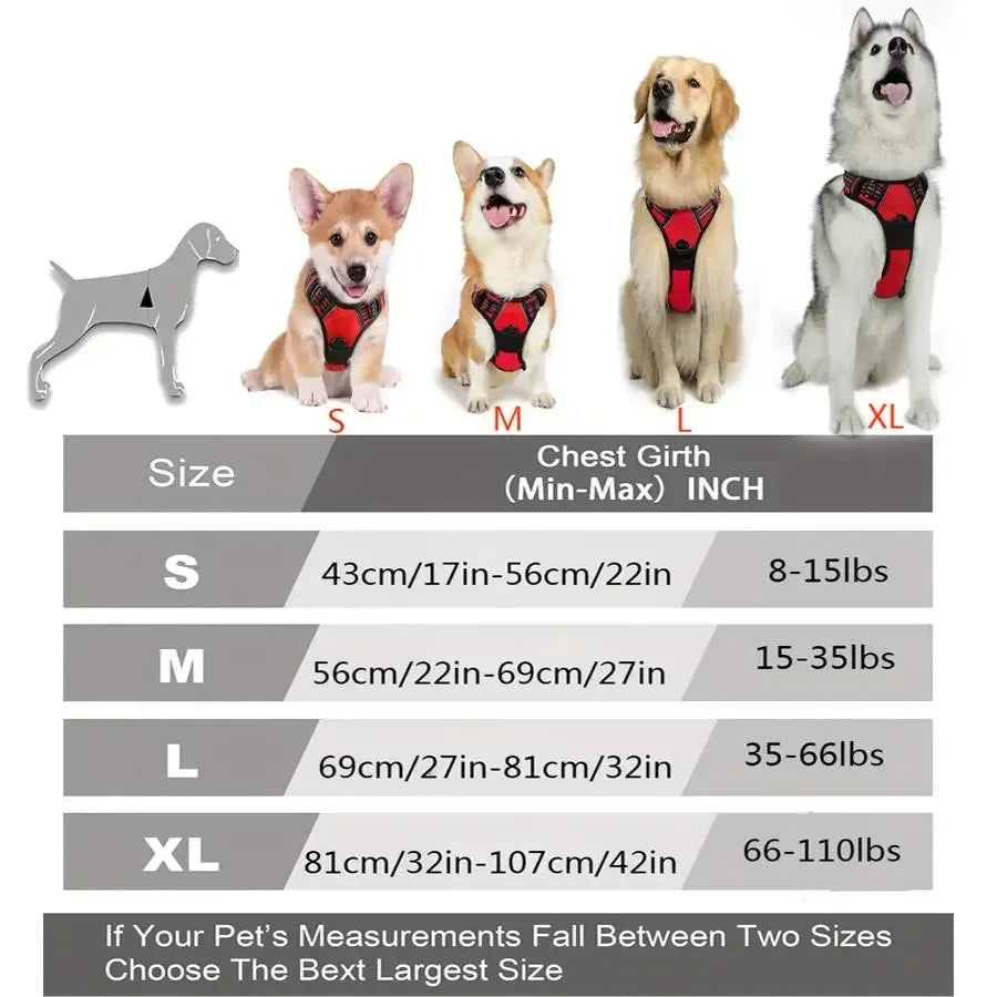 Canadian Leather Dog Collars, Harnesses & Leashes Set