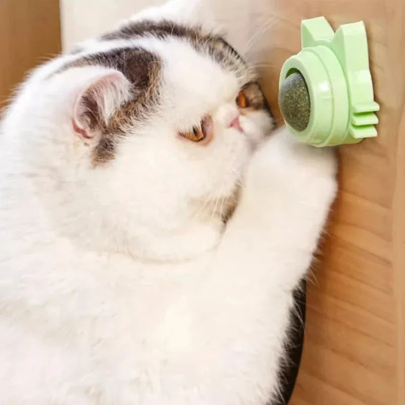 Catnip Wall Ball Treat for Cats - Dental & Fresh Breath