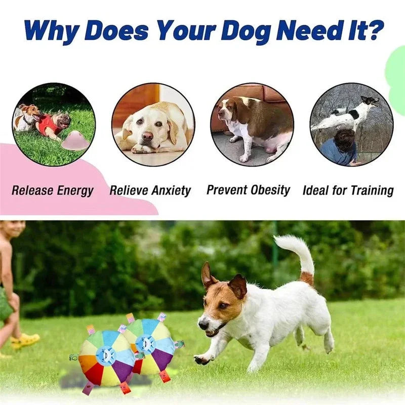 Rainbow Plush Flying Disc Dog Toy Interactive Chew & Fun