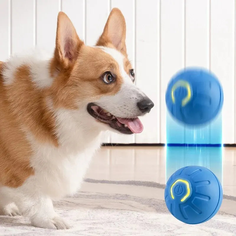 Smart Interactive USB Moving Dog Toy Ball - Chew Puppy Fun
