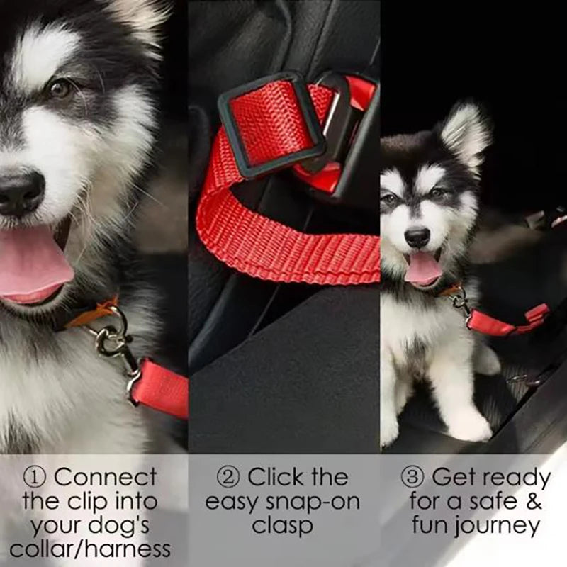 Dog Car Seat Belt Harness | Safe Travel for Pets in Canada