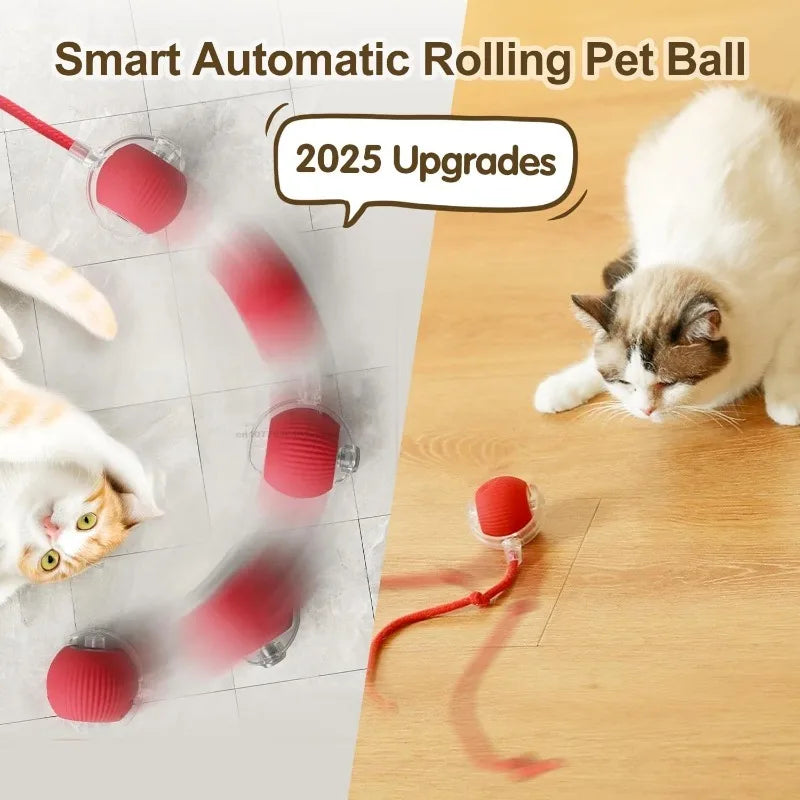 Smart Interactive Cat Ball Toy | Automatic Self-Moving for Cats