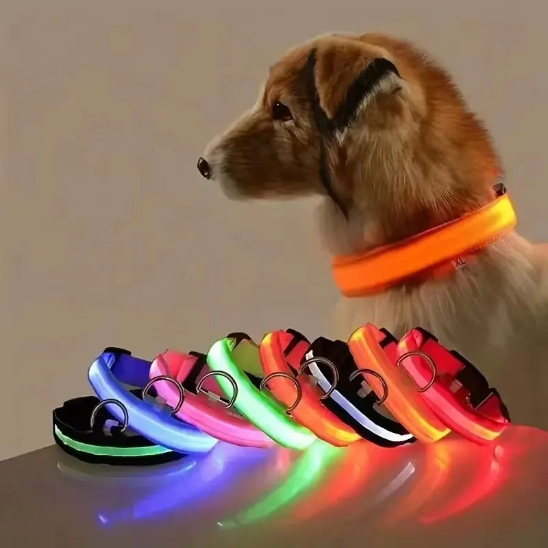 Nylon LED Flashing Dog Leash | Night Safety for Dogs