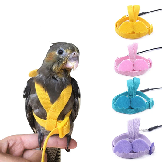 Parrot Flying Harness & Leash for Outdoor Bird Training Canada
