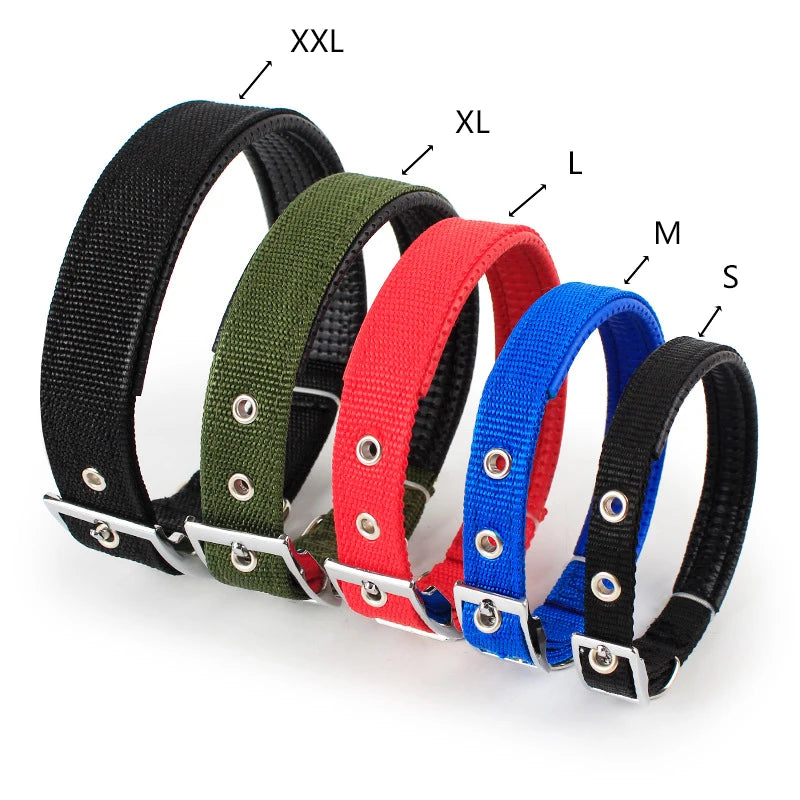 Durable Solid Nylon Dog Collar | Small, Medium, Large Dogs