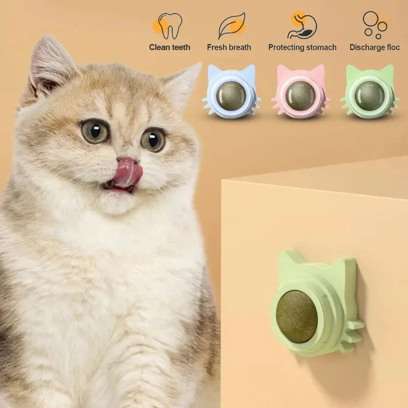 Catnip Wall Ball Treat for Cats - Dental & Fresh Breath