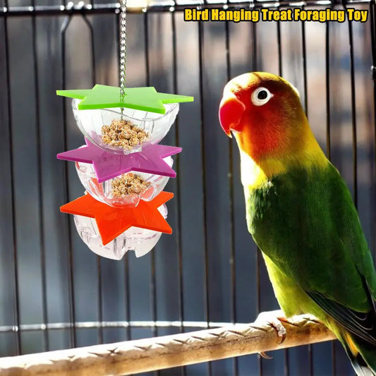 Bird Bite Toys Parrot Foraging Feeder | Acrylic Hanging Treat Toy