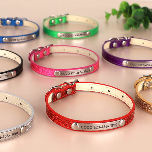 Personalized Bling Leather Cat & Small Dog Collar with Engraved ID