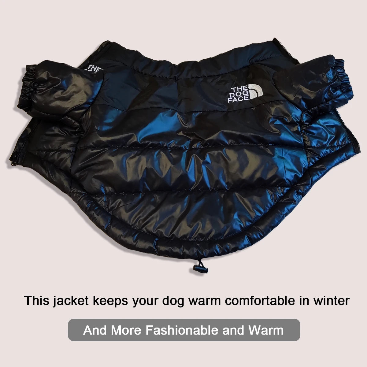 Warm Reflective Dog Winter Jacket | All Sizes | Windproof Pet Coat