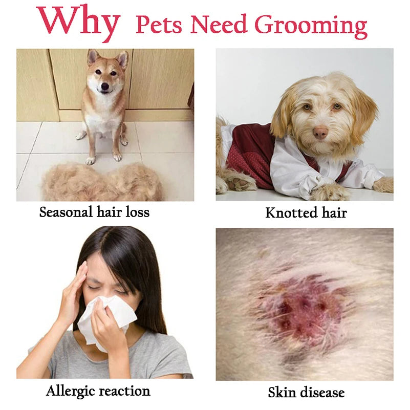 Pet Deshedding Brush | Dog & Cat Fur Remover & Knot Cutter