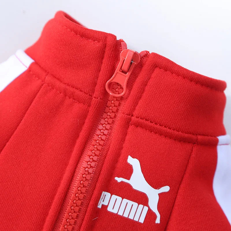 Winter Baseball Dog Jacket Hoodie for Small/Medium Dogs