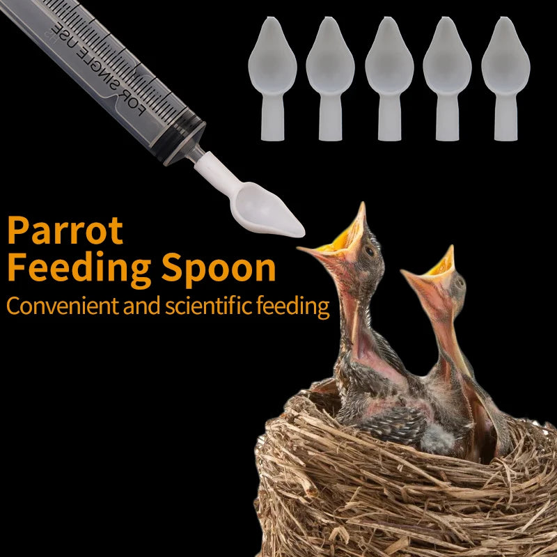 Baby Bird Feeding Kit: Syringe & Spoon for Milk & Medicine