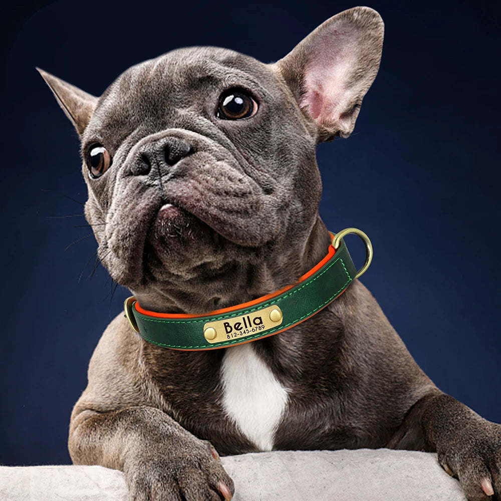 Personalized PU Leather Dog Collar with Engraved Nameplate