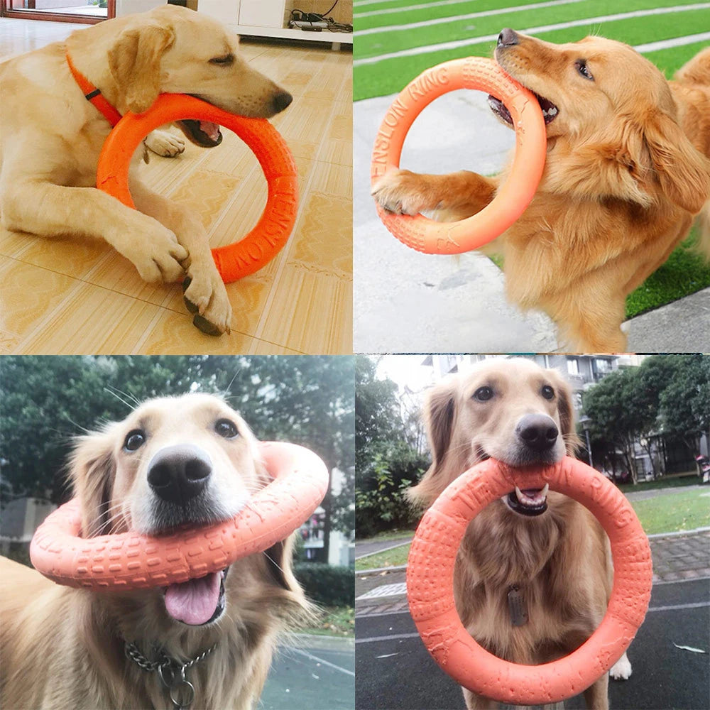 Orange EVA Dog Flying Disk & Training Ring Puller Toy