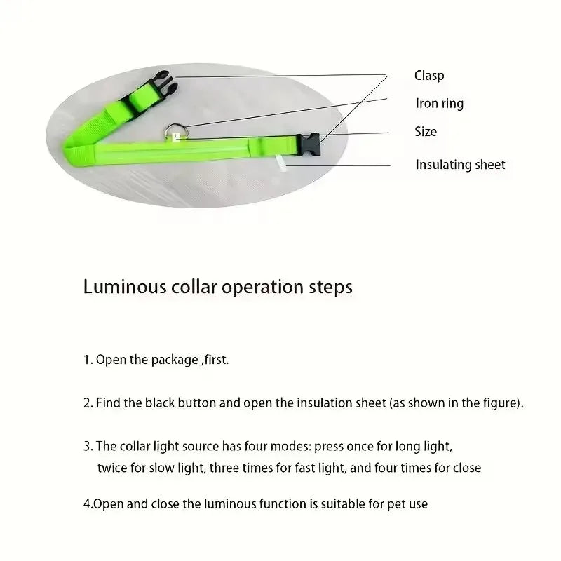 Nylon LED Flashing Dog Leash | Night Safety for Dogs