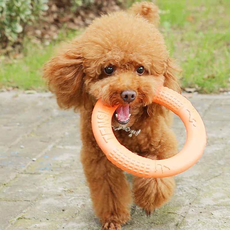 Orange EVA Dog Flying Disk & Training Ring Puller Toy