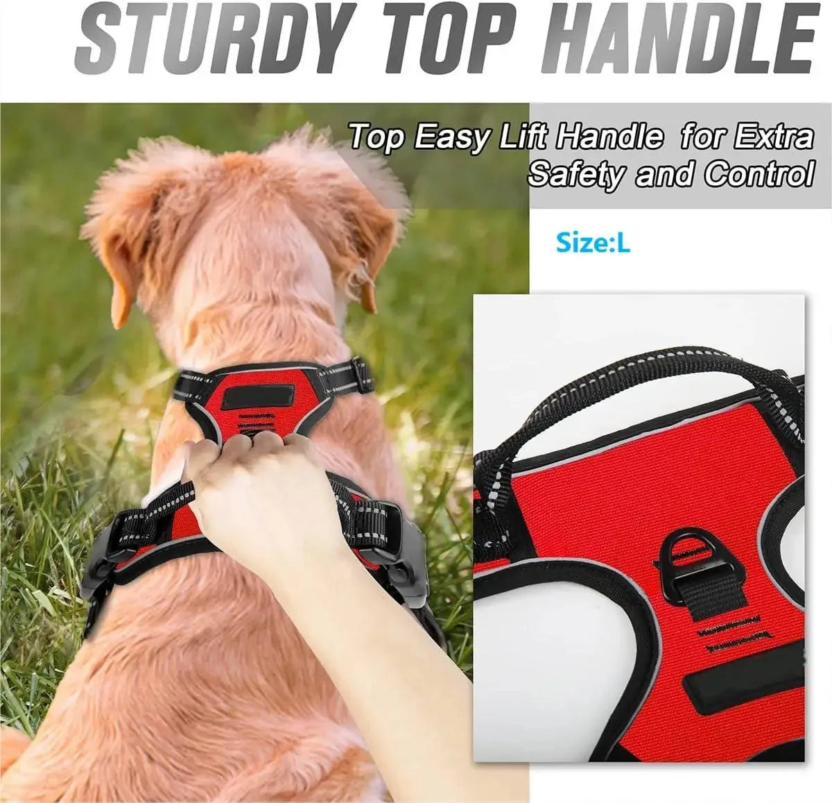 Canadian Leather Dog Collars, Harnesses & Leashes Set