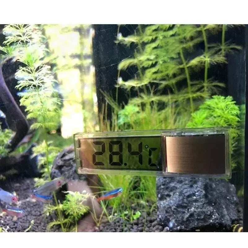 Digital LCD Aquarium Thermometer | Accurate Fish Tank Temp Gauge