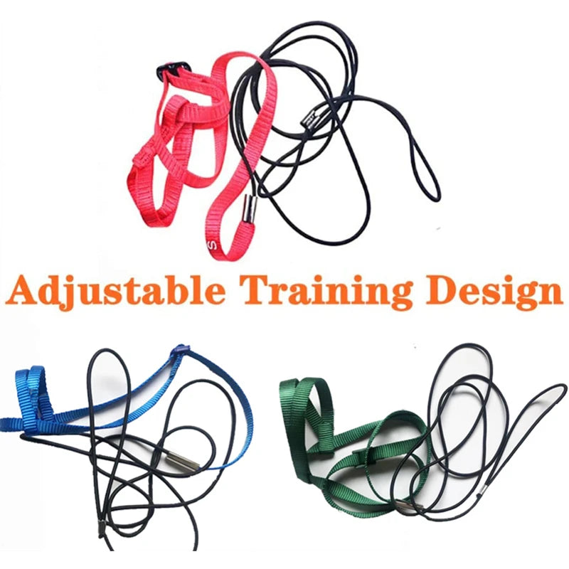 Parrot Bird Harness & Leash for Outdoor Flying & Training