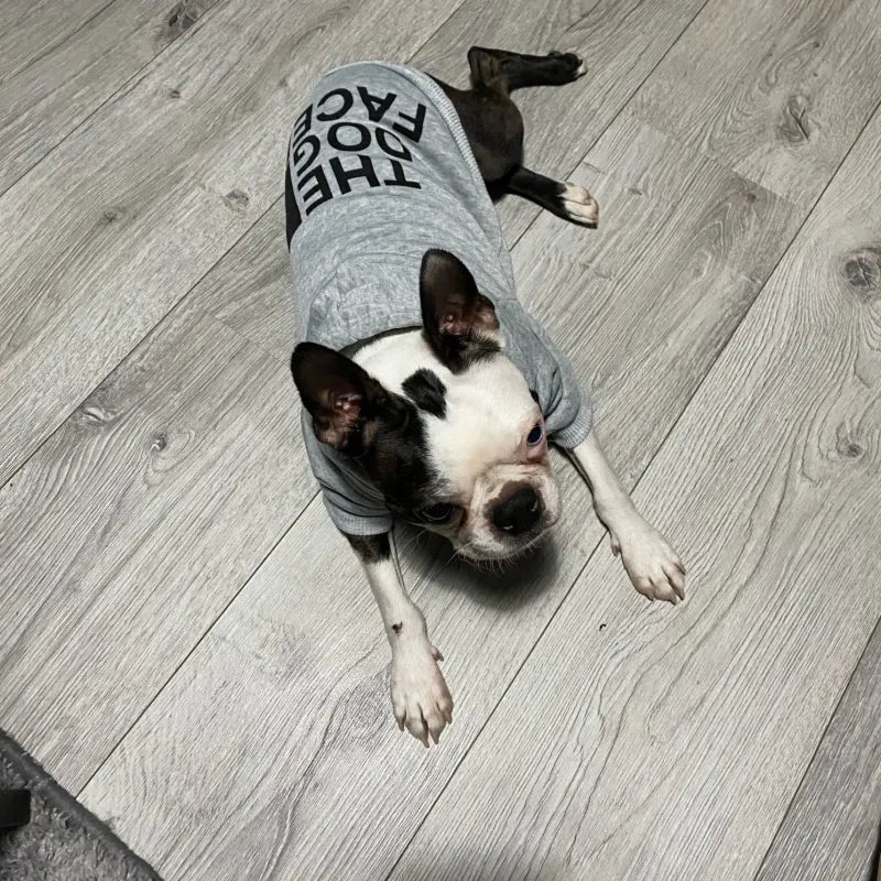 The Dog Face Inspired Warm Dog Hoodie & Wind Coat - All Sizes