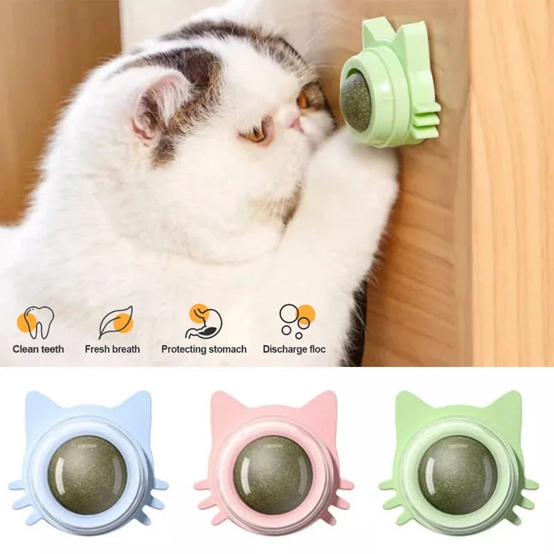 Catnip Wall Ball Treat for Cats - Dental & Fresh Breath