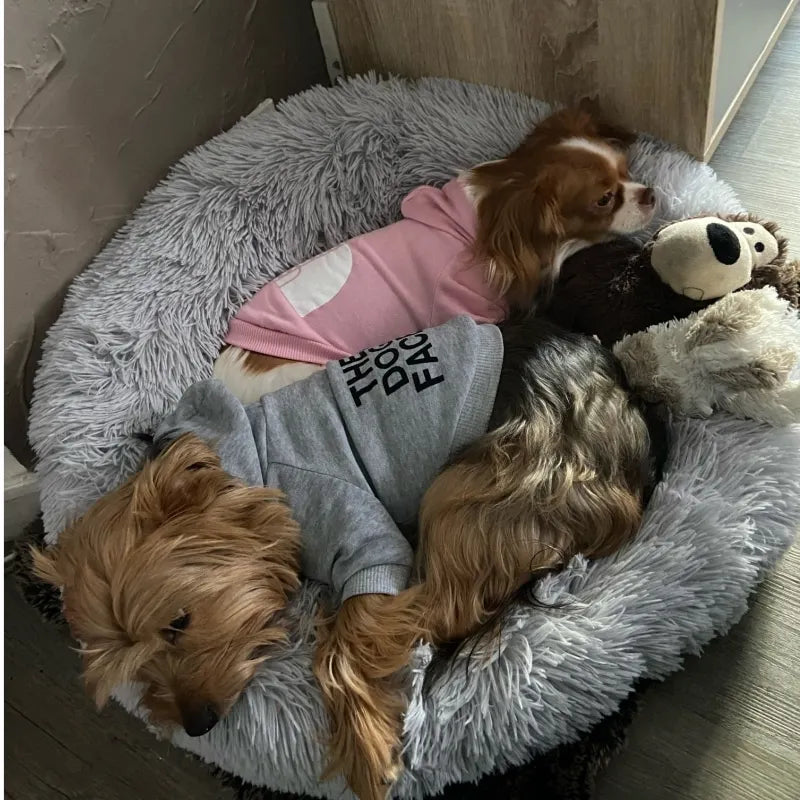 The Dog Face Inspired Warm Dog Hoodie & Wind Coat - All Sizes