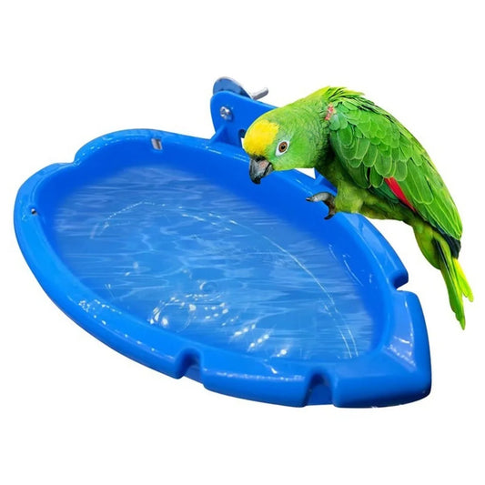 Multi-Use Parrot Bird Bath & Feeder Box – Canadian Birds