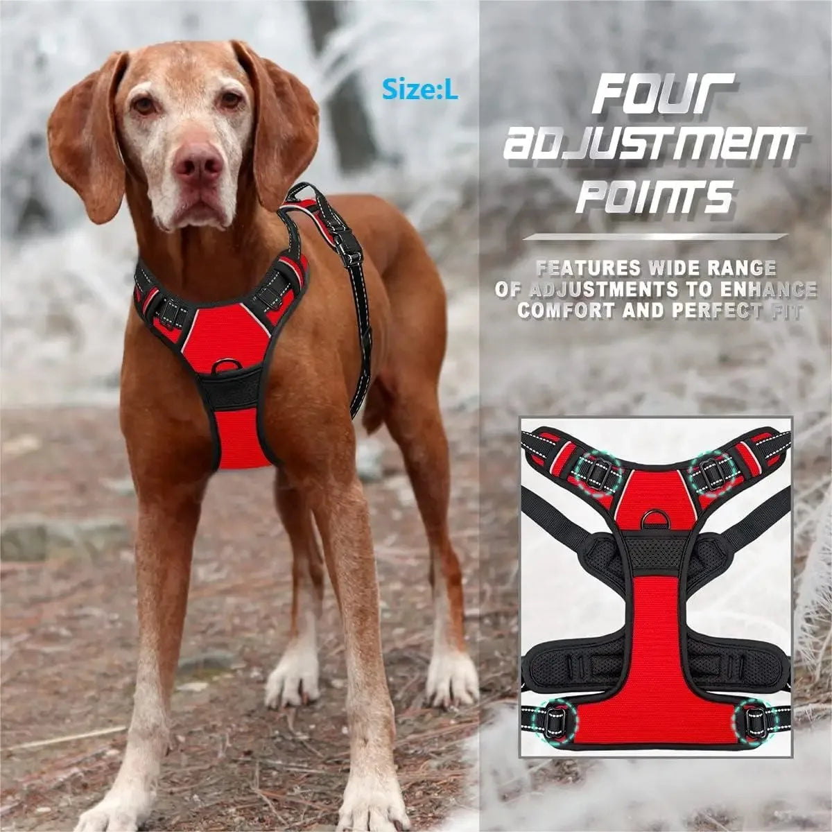 Canadian Leather Dog Collars, Harnesses & Leashes Set