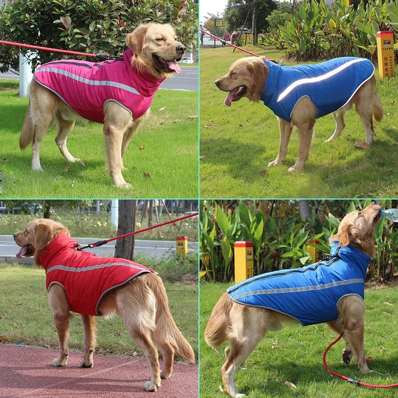 Large Dog Winter Coat - Waterproof, Warm & Reflective for Canadian Winters