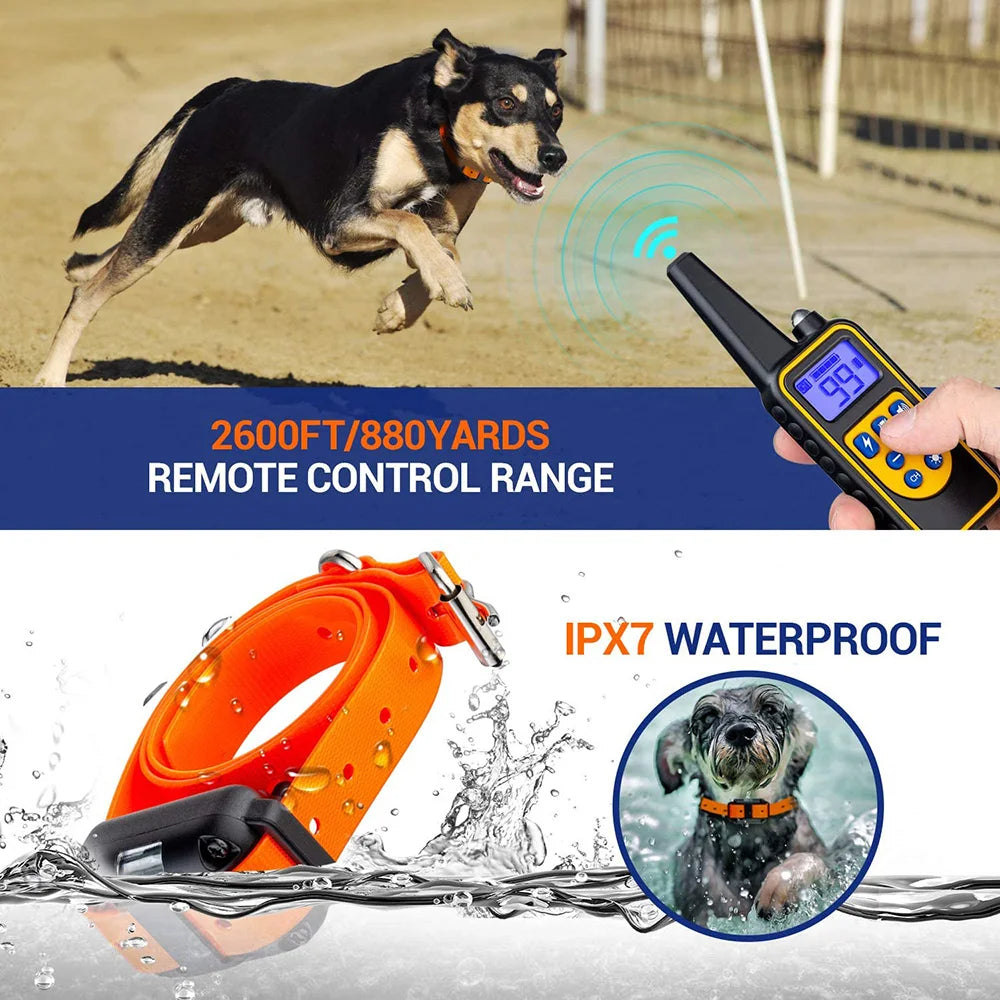 Rechargeable Electric Dog Training & Anti-Bark Collar w/ Clicker