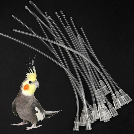 10x Pet Feeding Tubes for Birds & Small Animals - Canada