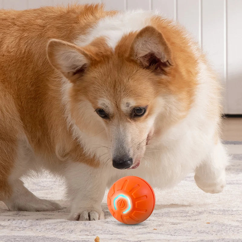 Smart Interactive USB Moving Dog Toy Ball - Chew Puppy Fun