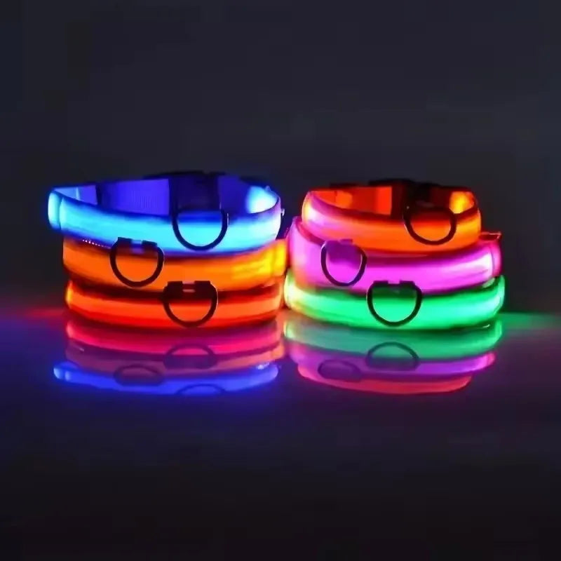 Nylon LED Flashing Dog Leash | Night Safety for Dogs