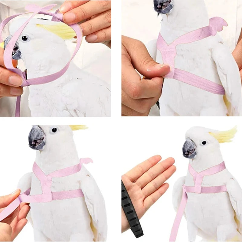Parrot Flying Harness & Leash for Outdoor Bird Training Canada