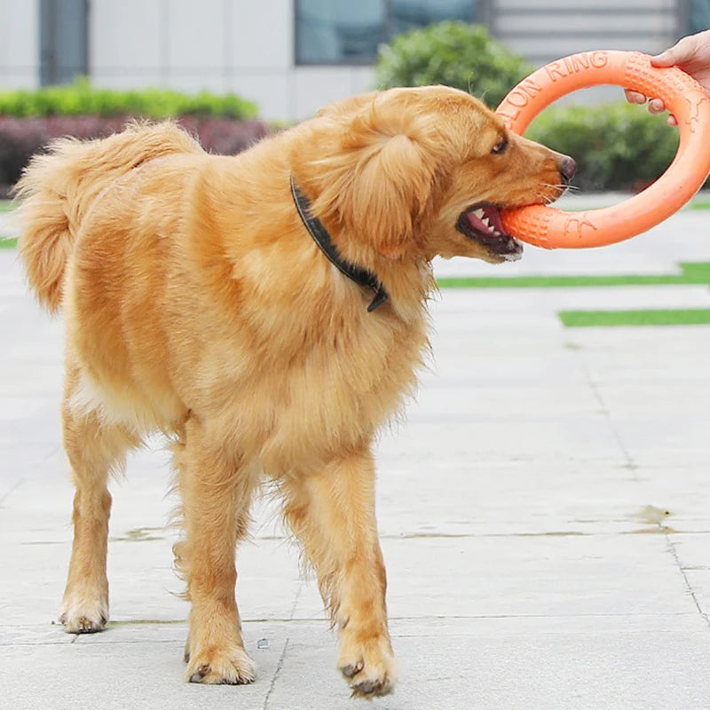 Orange EVA Dog Flying Disk & Training Ring Puller Toy