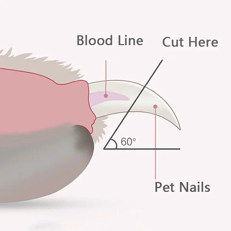 Professional LED Pet Nail Clippers for Dogs & Cats
