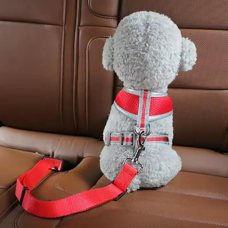 Dog Car Seat Belt Harness | Safe Travel for Pets in Canada