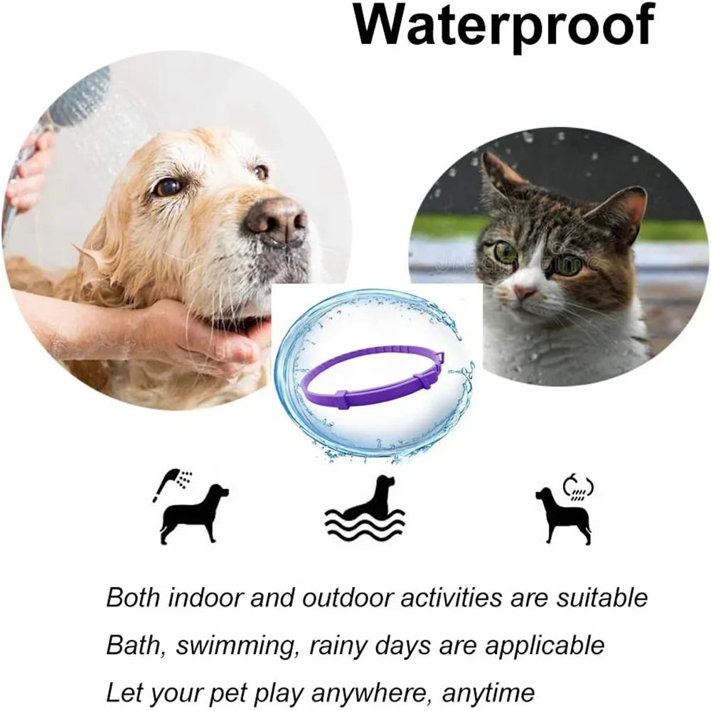 Natural Pet Calming Collar for Cats & Dogs | 60-Day Anxiety Relief