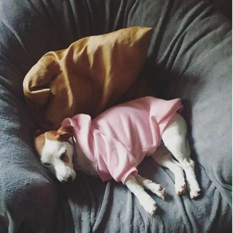 The Dog Face Inspired Warm Dog Hoodie & Wind Coat - All Sizes
