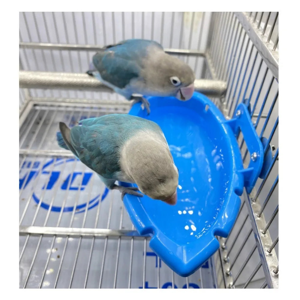 Multi-Use Parrot Bird Bath & Feeder Box – Canadian Birds