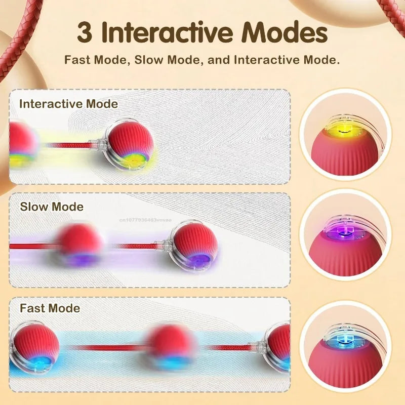 Smart Interactive Cat Ball Toy | Automatic Self-Moving for Cats