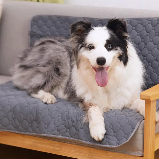 Reusable Washable Dog Pee Pad | Waterproof Absorbent Mat