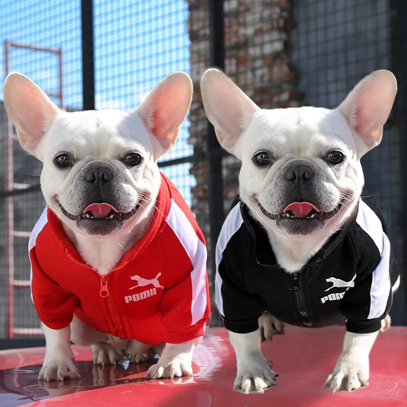 Winter Baseball Dog Jacket Hoodie for Small/Medium Dogs