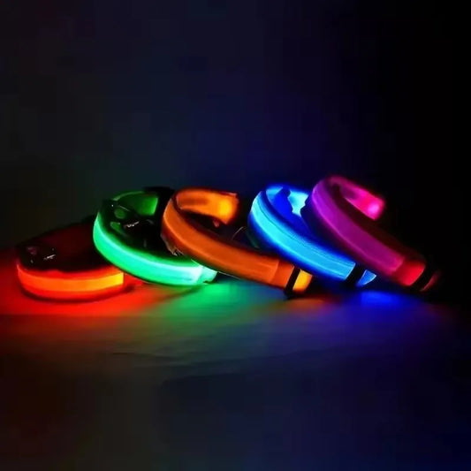 Nylon LED Flashing Dog Leash | Night Safety for Dogs